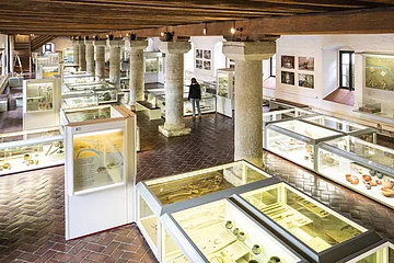 Von oben ist auf den Raum mit den vielen weißen Vitrinen fotografiert worden. Die Decke und der Fußboden sind aus dunklem Holz.