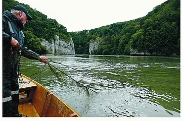 In der Mitte der Fluss und im Hintergrund der Donaudurchbruch bei Kelheim. Ein Mann, in einem Ruderboot stehend, hält einen Cacher in das grüne Wasser der Donau.